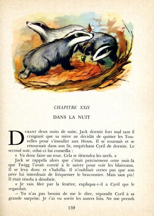 BLYTON Six - 31