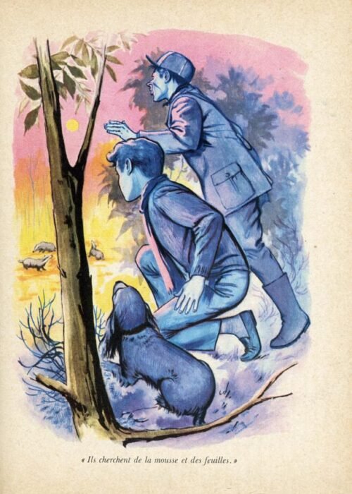 BLYTON Six - 32