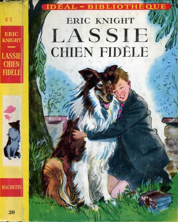 KNIGHT Lassie - 3