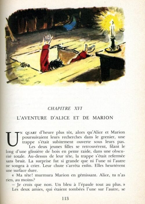 QUINE Paon - 24